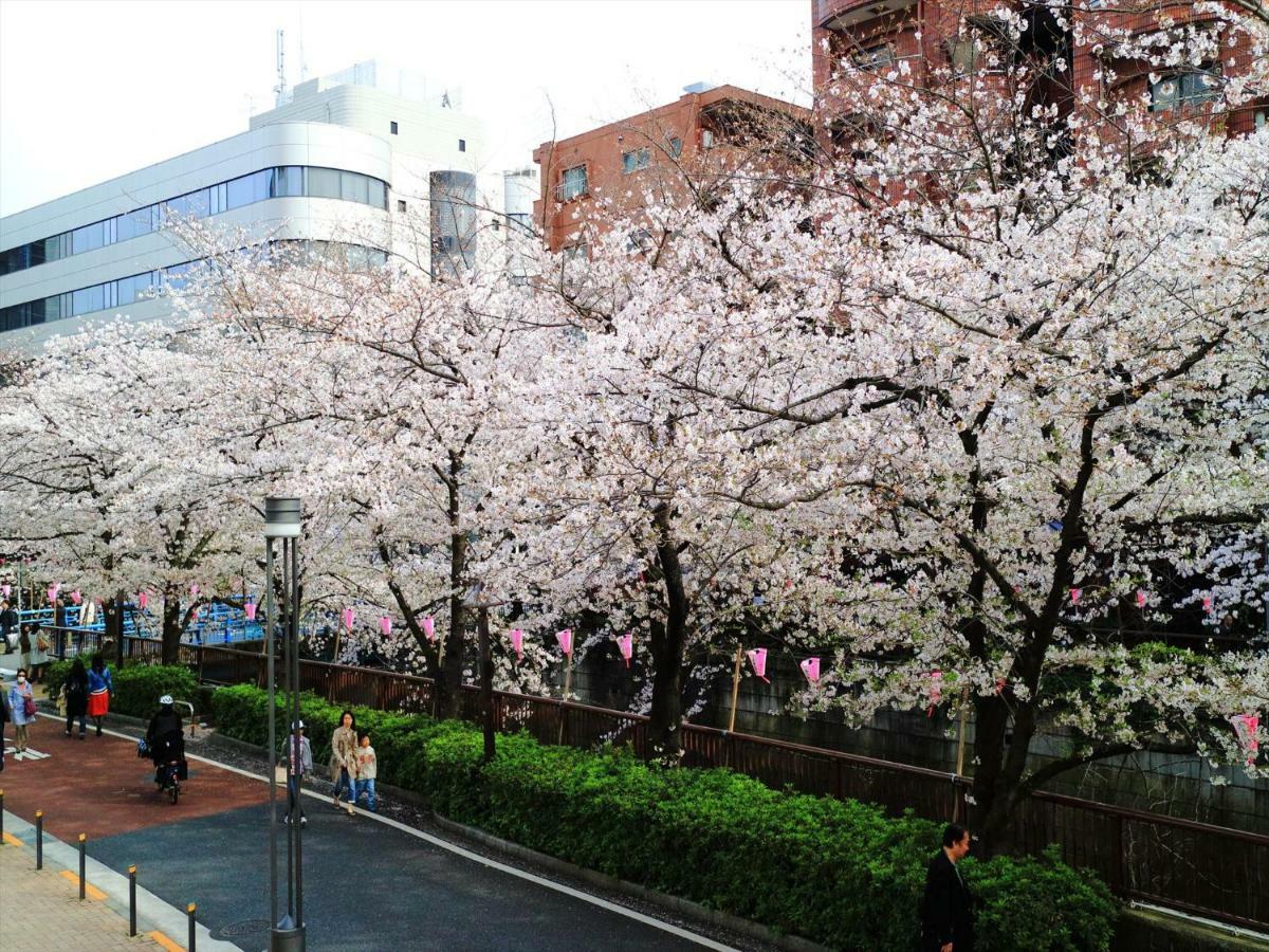 Coto Tokyo Shibuya 6 Appartement Buitenkant foto